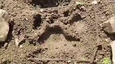 అదిలాబాద్ అర్బన్: పులి సంచారం దృష్ట్యా ప్రజలు అప్రమత్తంగా ఉండాలి :FSO అహ్మద్ ఖాన్