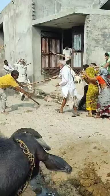 #मथुरा में खेत की बोरिंग को लेकर हुआ विवाद, चलीं लाठी-डंडे✍️संघर्ष में पांच लोग हुए गंभीर रूप से घायल,