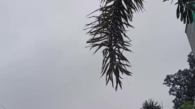 शाजापुर: मौसम वैज्ञानिक सत्येंद्र धनोतिया ने दी जानकारी, शाजापुर जिले में 4-5 नवंबर को बारिश की संभावना