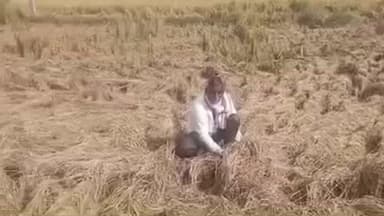 इंदरगढ़: इंदरगढ़ क्षेत्र में वर्षा से किसानों को 70% धान की फसल का नुकसान, सर्वे टीम न पहुंचने से ग्रामीणों में आक्रोश