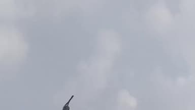 गुलाना: अकोदिया में फसल नुकसान रोकने हेतु 163 कृष्ण मृग पकड़े, दक्षिण अफ्रीकी टीम ने हेलीकॉप्टर-बोमा तकनीक का किया प्रयोग