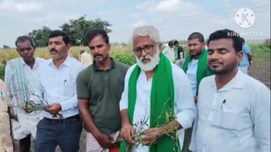 ಕುರುಗೊಡು: ಸಿದ್ದಮನ್ನಳ್ಳಿಯಲ್ಲಿ ಕ್ರಿಮಿನಾಶಕ ಸಿಂಪಡಣೆ ಪರಿಣಾಮ, 2 ಎಕರೆ ಮೆಣಸಿನಕಾಯಿ ಬೆಳೆ ಸುಟ್ಟು ನಾಶ, ಪರಿಹಾರಕ್ಕೆ ಆಗ್ರಹ