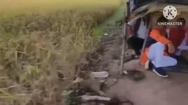 मनगवां: किसानों की फसल चौपट होने पर मनगवां विधायक नारेन्द्र प्रजापति ने चिंता जताई, खेतों में पहुंचे