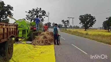 बरगढ़: मोथा चक्रवात से खेतों में पानी भरने से धान की फसल सड़ी, किसानों की चिंता बढ़ी