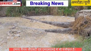 गजरौला में डेयरी मालिक ने बगद नदी को बना दिया गंदा नाला, सो रहा प्रदूषण नियंत्रण विभाग