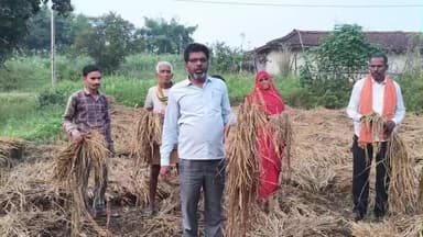 छत्तीसगढ़ के किसानों का धान फसल पानी ने भारी छाति पहुंचआ लालजी बौध्द प्रदेश अध्यक्ष छ. ग.मानवाधिकार मुआवजा की मांग किये