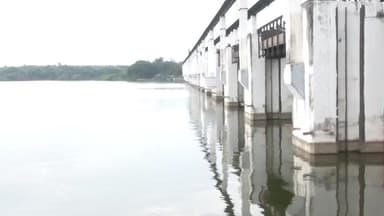 திருவள்ளூர்: பூண்டி ஏரியில் ஆபத்தை உணராமல் பொதுமக்கள் குளித்து விளையாடினார்கள்,