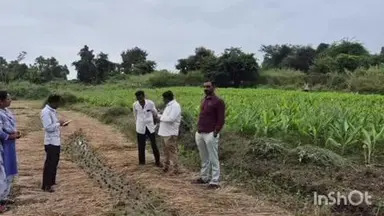 લુણાવાડા: કમોસમી વરસાદના કારણે થયેલ પાક નુકસાની બાબતે સર્વેની કામગીરી હાથ ધરાઈ