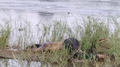 कामठी: गादागाव जवळील कन्हान नदीच्या पात्रात अज्ञात व्यक्तीचे मृतदेह आढळल्याने खळबळ