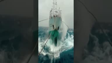 The last clip will truly shock you 😱😱 ❗ #northsea #ocean #sea #adventure #shorts