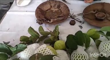 गुना नगर: शास्त्री पार्क में हर रविवार जैविक हाट बाजार, कलेक्टर ने किया शुभारंभ, मिलेंगे शुद्ध देसी फल-सब्जियां