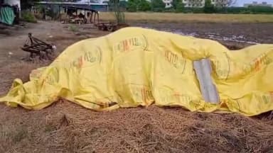 ધોળકા: ધોળકા તાલુકામાં કમોસમી વરસાદના કારણે ડાંગર સહિતના ખેત પાકને વ્યાપક નુકશાન, સહાય ચૂકવવા ખેડૂતોની માંગણી