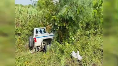 ઓલપાડ: ટકરામાં ગામ પાસે DYSP ની કાર રોડની નીચે ઉતરી ગઈ.