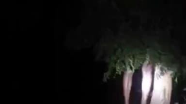 मुरैना नगर: मुरैना: कर्ज़ और टूटी उम्मीदों से परेशान किसान ने टीकरी गांव में नीम के पेड़ से लटककर की आत्महत्या