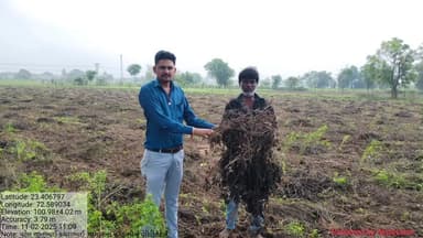 ગાંધીનગર: જિલ્લામાં બીજા દિવસે પણ વરસાદને કારણે 162 ગામમાં સર્વેની કામગીરી હાથ ધરવામાં આવી