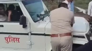 किशनगंज: नाहरगढ में खेतों में घुसी सैकड़ों गायों ने किसानों की फसल को किया चौपट