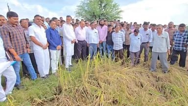 શહેરા: વિધાનસભાના ઉપાધ્યક્ષ જેઠાભાઈ ભરવાડે મોરવા વિસ્તારમાં ખેતરોની મુલાકાત લઈ ખેતી પાકને થયેલા નુકસાનીનું નિરીક્ષણ કર્યું