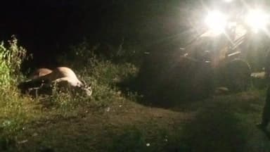 मुरहू: खेत में करंट लगने से दो बैलों की मौत