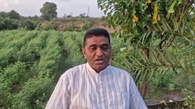 વિસાવદર: વિસાવદર ખાતે ખેડૂત મહાસંમેલન નું આયોજન કરવામાં આવ્યું તેવી માહિતી શહેર કોંગ્રેસ પ્રમુખ દ્વારા આપવામાં આવી