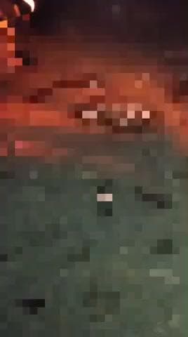 जालौन: प्रतापपुरा गांव के पास मोटरसाइकिल चालक के सामने आए आवारा मवेशी, घायल को अस्पताल में कराया भर्ती