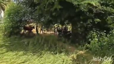 సైదాపూర్: రాయికల్ లో మొంథా తుఫాన్ భీవత్సంతో రైతులు ఇప్పటికీ కోలుకోలేని పరిస్థితి, వరదల్లో కొట్టుకు పోయిన పంటను చూసి కన్నీళ్లు..