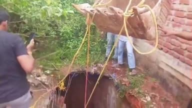 नोआमुंडी: बजरंग दल के कार्यकर्ताओं ने कड़ी मेहनत से बीस फुट गहरे टैंक में गिरे भैंसी के बच्चे को निकाला