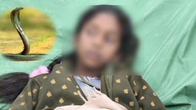 పలమనేరు: గంగవరం: షాపుకు వెళ్తున్న బాలికను కాటు వేసిన పాము, ఆసుపత్రికి తరలించి వైద్యం అందిస్తున్న కుటుంబీకులు