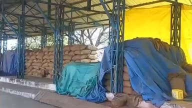 खिरकिया: खिरकिया मंडी में व्यापारियों का कब्जा, किसानों को हो रही परेशानी