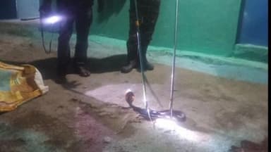 मझगवां: मझगवां गायत्री चौक: घर में घुसे सांप को वन विभाग ने किया रेस्क्यू
