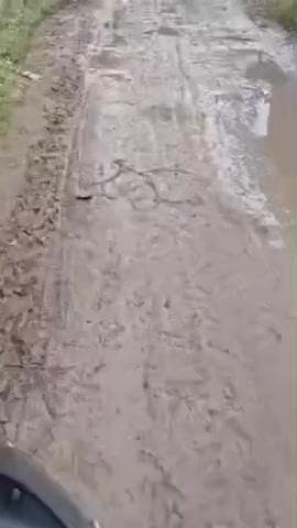 सुठालिया: सुठालिया के भंवास में सड़क पर कीचड़ और पानी भरा, ग्रामीण निकलने को मजबूर, वीडियो वायरल