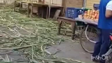 आष्टा: देवउठनी एकादशी के बाद आष्टा की सड़कों पर गंदगी, दुकानदारों द्वारा फेंके गए गाने के ढेर से राहगीर परेशान