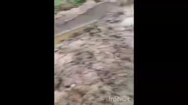 डोलरिया: धामनी में सड़क खराब होने से कीचड़, ग्रामीण सड़क साफ करने को मजबूर, वीडियो वायरल