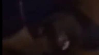 बिक्रमगंज: बिक्रमगंज रेलवे उपेंद्र में मिला जहरीला सांप, अफरा-तफरी मची, रेस्क्यू टीम ने सुरक्षित निकाला