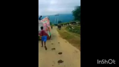 बरहट: जमुई विधानसभा से एनडीए प्रत्याशी श्रेयसी सिंह के प्रचार वाहन पर हमले के मामले में चार नामजद पर दर्ज हुआ केस