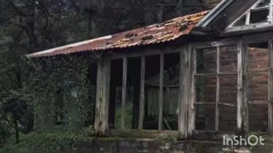 शिमला शहरी: शिमला में युवक ने फंदा लगाकर की आत्महत्या, HPU के गर्ल्स हॉस्टल के पास खंडहर बिल्डिंग में मिला शव