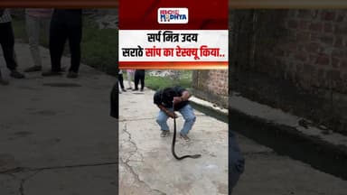 यह सांप देखकर आप रह जायेंगे दंग, Narmadapuram में निकला कोबरा प्रजाति का जहरीला सांप | #snakerescue