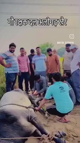 गौ रक्षा दल ट्रस्ट अलीगढ़ की खैर टीम के साथ मौजूद रही पुलिस प्रशासन