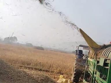 bahu dhan ki misai ho Rahi hai