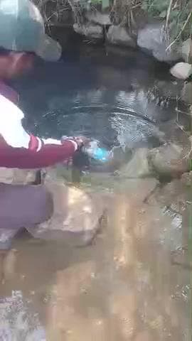 #parshapani#haathi sarye