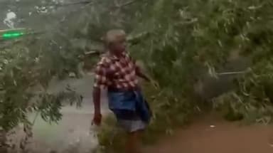 ஆவுடையார் கோவில்: கட்டுமாவடிச்சாலை வடகாட்டில் மழையின் காரணமாக மரம் சாலை விழுந்ததால் போக்குவரத்து பாதிப்பு