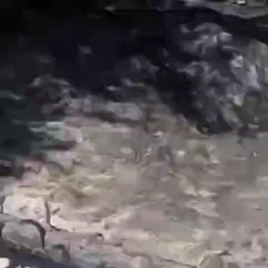 सांगला: जिला के लोग जंगलों में आगजनी की घटनाओं से करें परहेज, जंगल पड़े हैं सूखे: वन विभाग किन्नौर