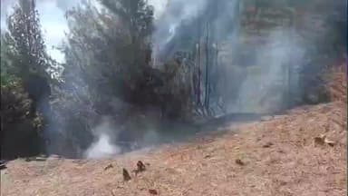 सांगला: सापनी गाँव के जंगलों में वन विभाग और ग्रामीणों ने आग पर पाया काबू, वीडियो आया सामने