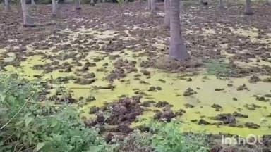 ఎచ్చెర్ల: గుక్కెడు నీటి కోసం అల్లాడిపోతున్న దేవుని పాలవలస గ్రామ ప్రజలు, అధికారులు సమస్యను పరిష్కరించాలని వేదుకున్న గ్రామస్తులు