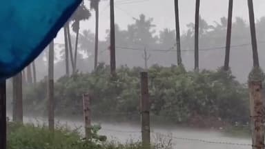 కావలి: తుఫాన్.. నెల్లూరు జిల్లాలో భారీ వర్షం