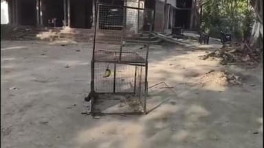 बीकापुर: जय सिंह मऊ, नसरतपुर सहित गांवों में बंदर के आतंक से ग्रामीणों में दहशत, वन विभाग ने पकड़ने के लिए लगाया पिंजरा