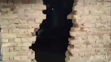 नानपारा: थनई गांव में दिवाल में सेंध लगाकर किसान की एक भैंस और दो पाड़िया चोरी, पुलिस की सक्रियता से निरहू गांव से एक भैंस बरामद