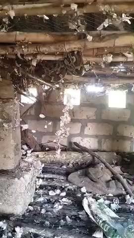 જેસર: જેસર તાલુકાના બિલા ગામે 10 ફુટના અજગરનુ રેસ્ક્યુ કરાયું
#