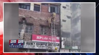 Kanpur : फर्स्ट फ्लोर में Auto Parts गोदाम मे भीषण आग‚ फायर ब्रिगेड व Police ने विकलांग को बचाया
#Kanpur #FireAccident ...