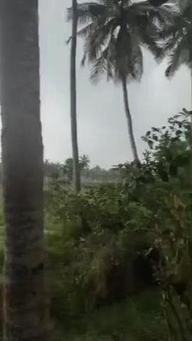 దిత్వా తుఫాన్ ప్రభావంతో కోనసీమలో ఓ మోస్తరు వర్షాలు