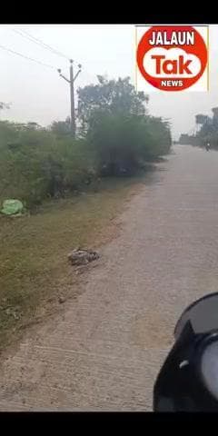 जालौन...कटीले झाड़ दे रहे है दुर्घटना को दावत जालौन कोंच रोड